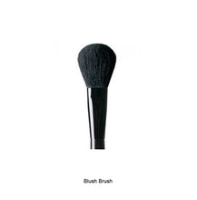 Makeup Brushes