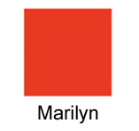 NEW!  Luxury Matte Lipstick